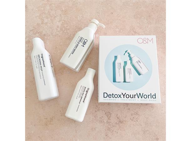 OM Gavesett Detox Your World