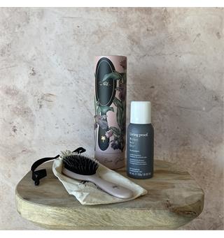 Vårkampanje Fan Palm + LP PHD Reise Dry Shampoo