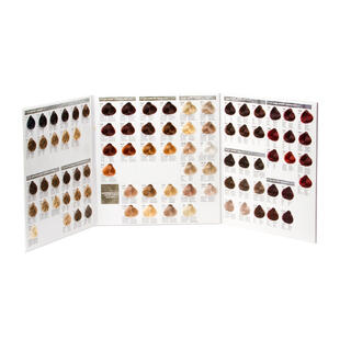 Fargekart DIKSON COLOR New 111Color Stor