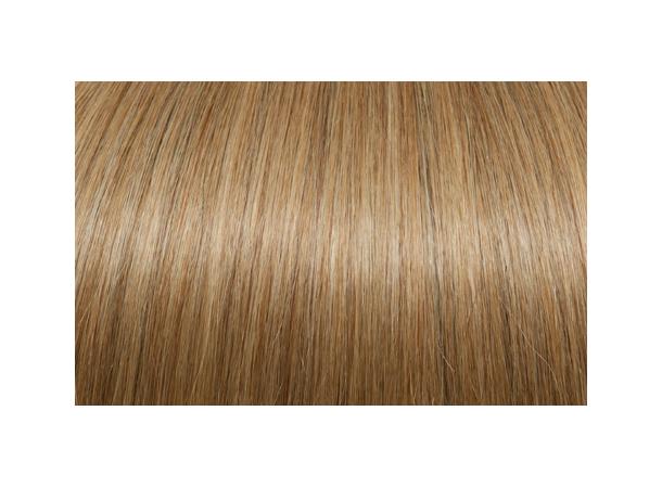 60cm 25Fester Seiseta DB4 