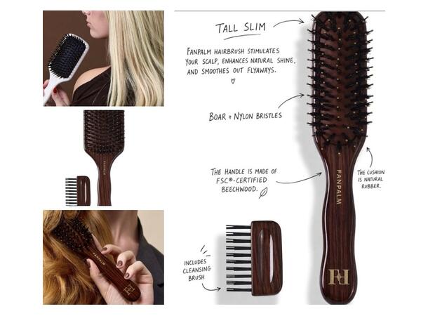 Fan Palm Beecwood Nyheter Kit med 6 stk. 