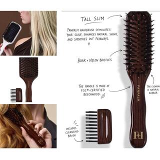 Fan Palm Beecwood Nyheter Kit med 6 stk.