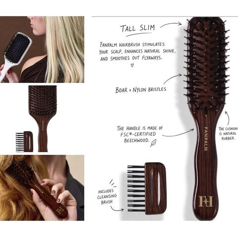 Fan Palm Beecwood Nyheter Kit med 6 stk.