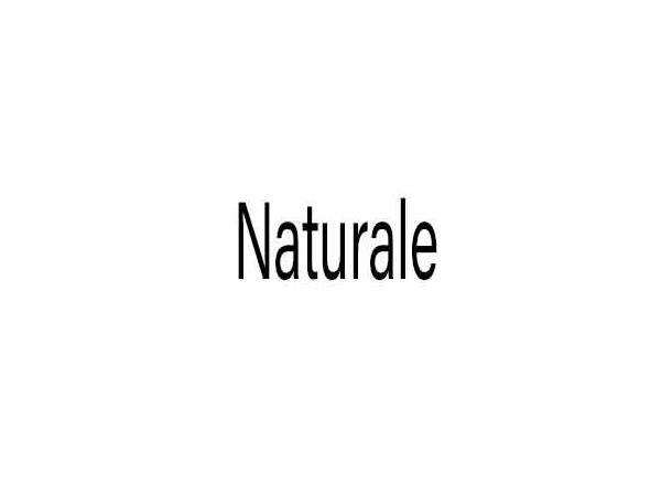 ZNaturale Toning ZenzTherapy 100ml 