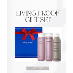 LP International Restore Box