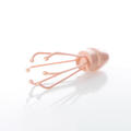 The Whisk - Coral