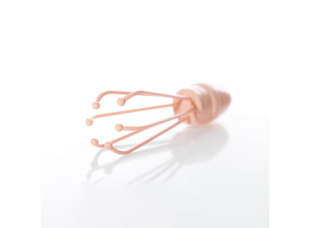 The Whisk - Coral 