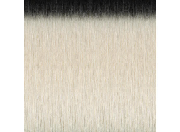 50cm 25Fester Seiseta 4/1001 Rooted