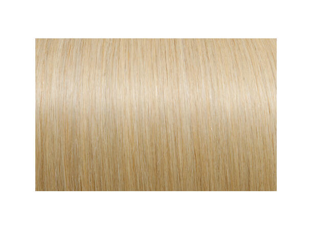 60cm 25Fester Seiseta 20 