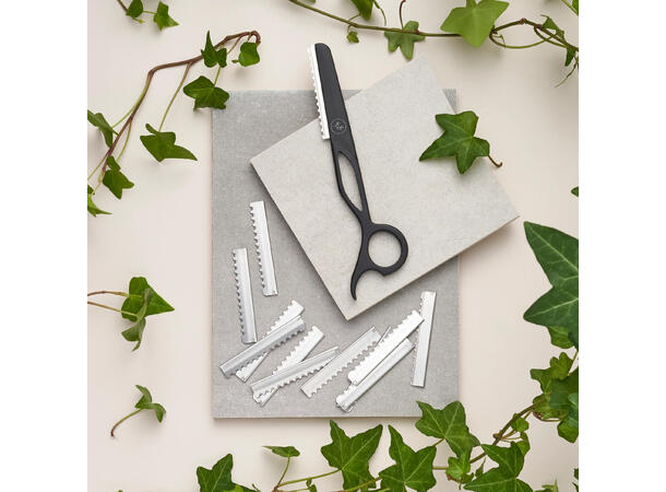 Leaf - Razor Knivblader 10stk 