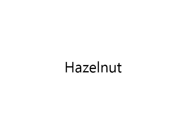 ZHazelnut ZenzTherapy 100ml 