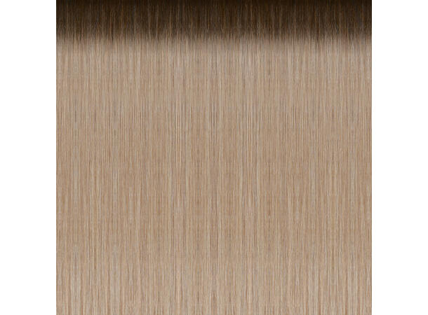 50cm 25Fester Seiseta 8/DB4 Rooted 