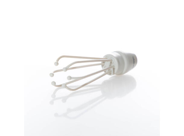 The Whisk - Ivory 