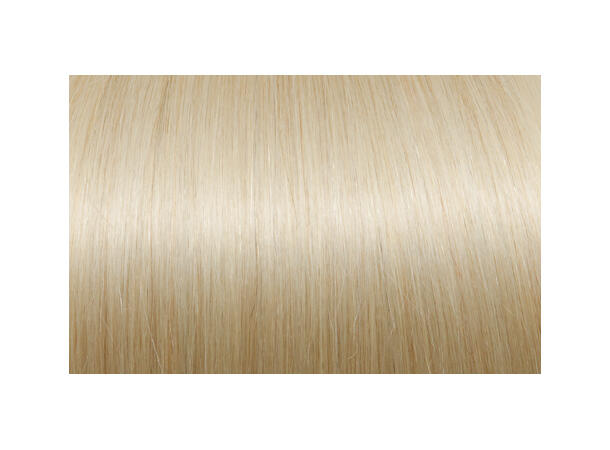 60cm 25Fester Seiseta 1005 