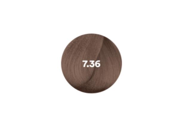 OC7,36 Golden Violet Blonde O&M Clean Liquid 